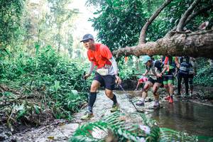 BIB: 
                            <button type="button" onclick="openModal(25452748)" class="btn btn-primary btn-sm float-right btn-popup" data-toggle="modal" data-target=".modal-high-quality">
                        <i class="fas fa-shopping-cart"></i> Add to Cart
                    </button>
                                            <button type="button" onclick="isThisMe(25452748, true)" class="btn btn-success btn-sm float-right btn-popup btn-isme hidden" data-toggle="tooltip" data-placement="bottom" title="นี่คือรูปของคุณใช่ไหม คลิกที่นี่เพื่อเอาเข้าอัลบั้ม">
                        <i class="fas fa-plus"></i> Add to album
                    </button>
                    <button type="button" onclick="isThisMe(25452748, false)" class="btn btn-warning btn-sm float-right btn-popup btn-isnotme hidden">
                        <i class="fas fa-ban"></i> Remove from album
                    </button>